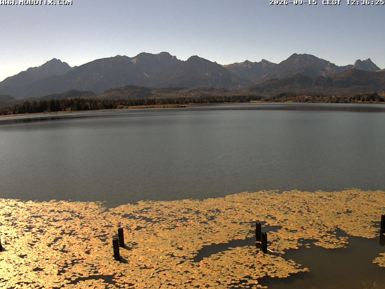 Archiv Foto Webcam Restaurant Fischerhütte am Hopfensee