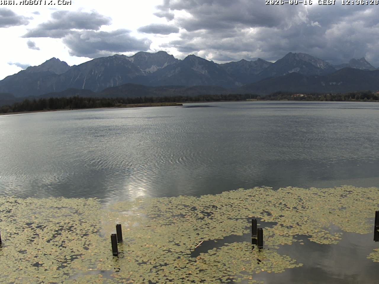 Archived image Webcam Hopfensee: View from Restaurant Fischerhütte