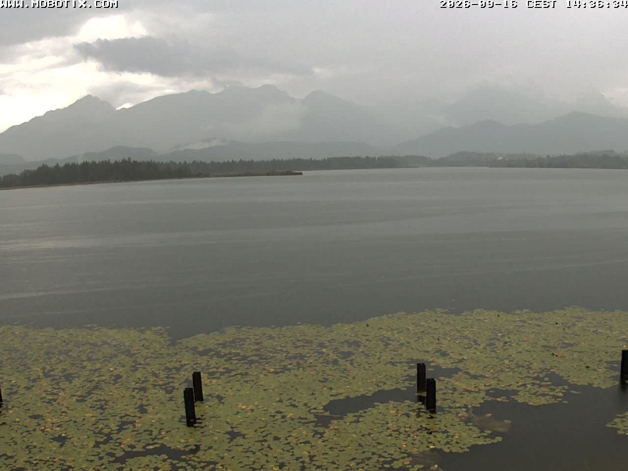 Archived image Webcam Hopfensee: View from Restaurant Fischerhütte