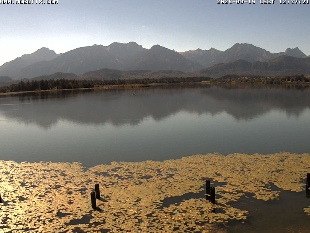 Archiv Foto Webcam Restaurant Fischerhütte am Hopfensee