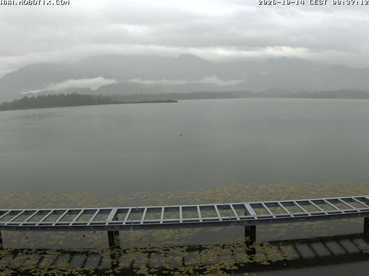 Archiv Foto Webcam Restaurant Fischerhütte am Hopfensee