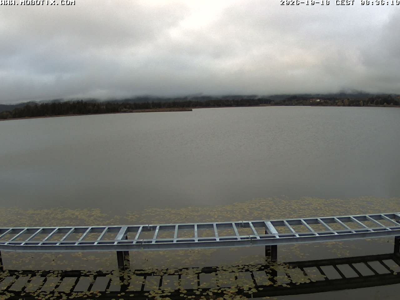 Archiv Foto Webcam Restaurant Fischerhütte am Hopfensee