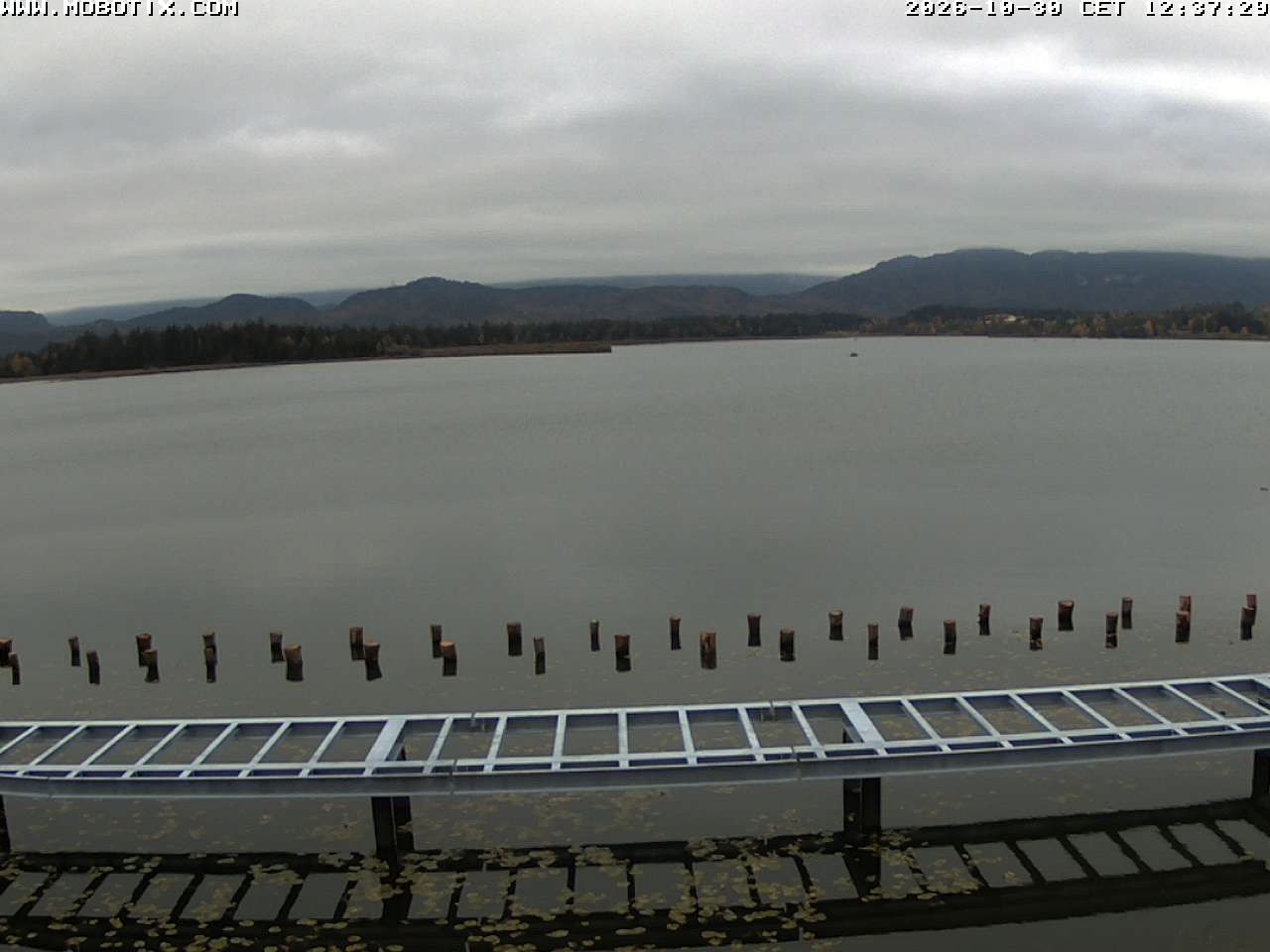 Archiv Foto Webcam Restaurant Fischerhütte am Hopfensee