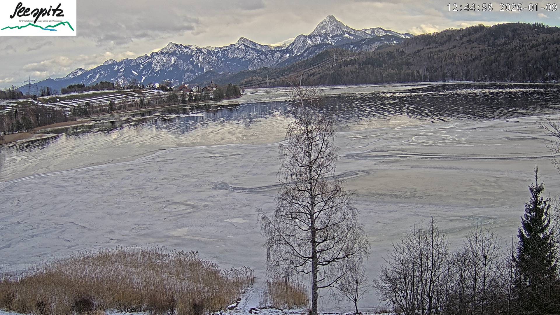 Archiv Foto Webcam Füssen: Blick auf den Weißensee vom Hotel Seespitz