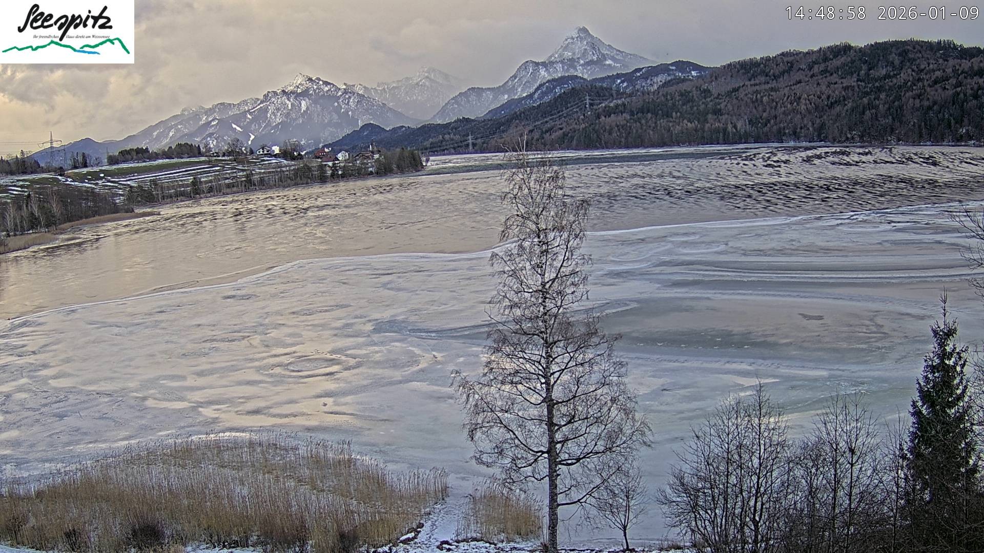 Archiv Foto Webcam Füssen: Blick auf den Weißensee vom Hotel Seespitz