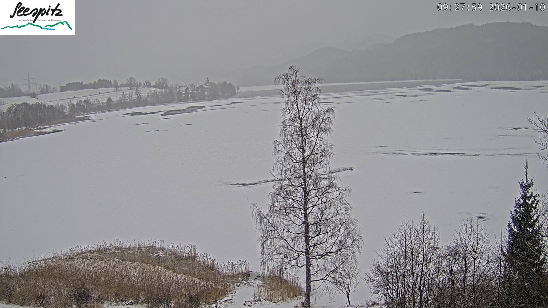 Archived image Webcam Weissensee near Füssen