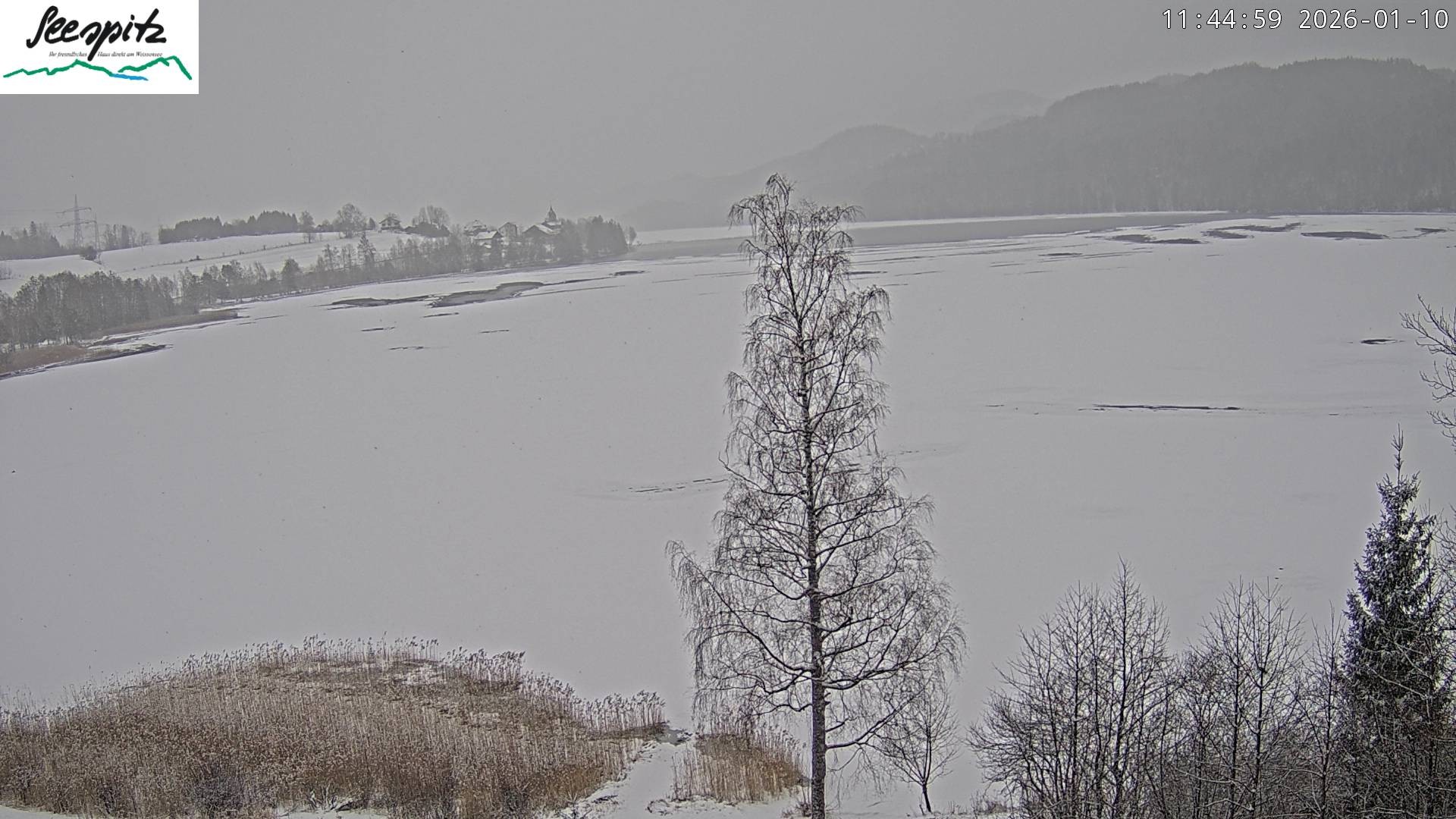 Archived image Webcam Weissensee near Füssen