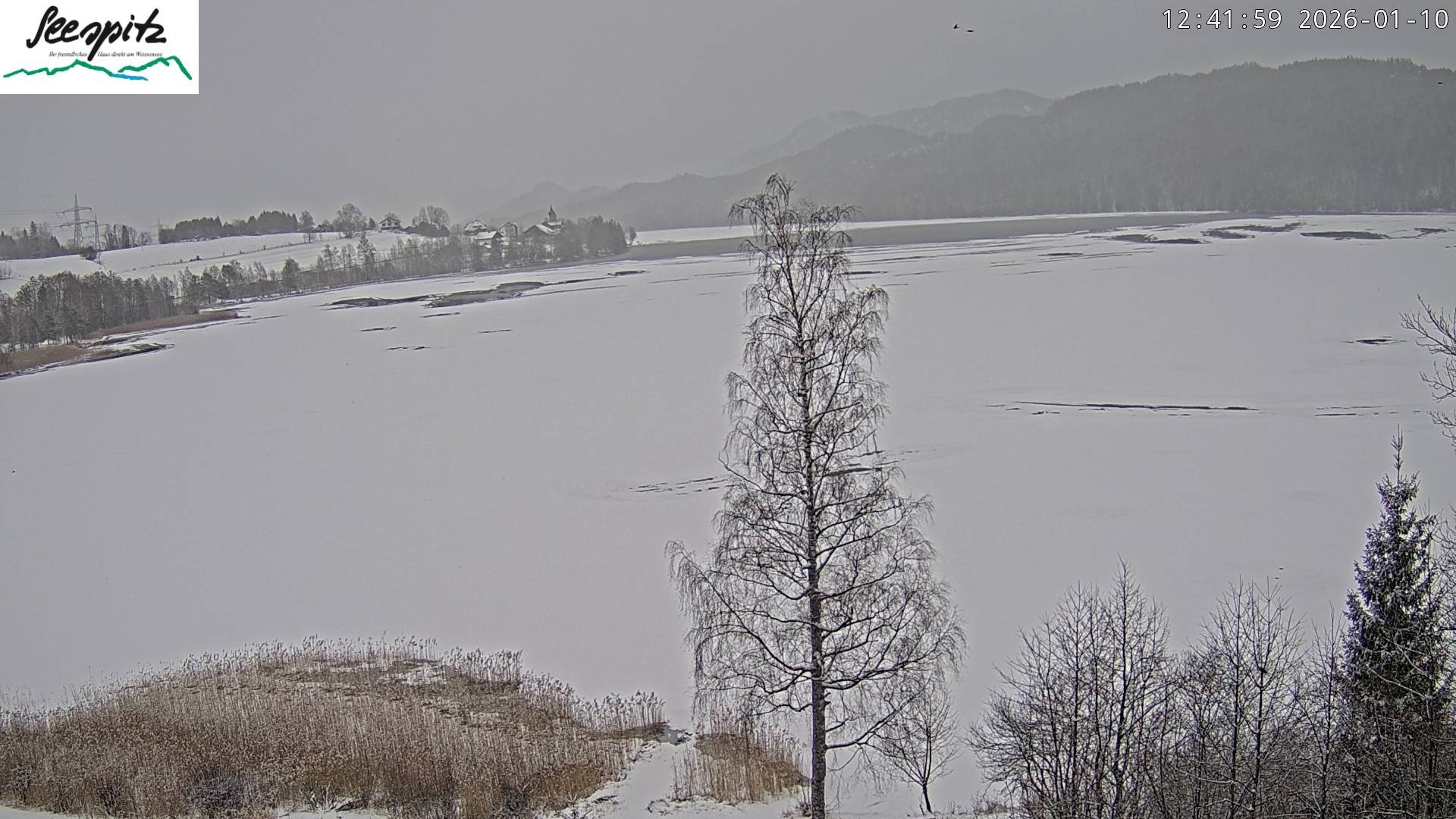 Archived image Webcam Weissensee near Füssen