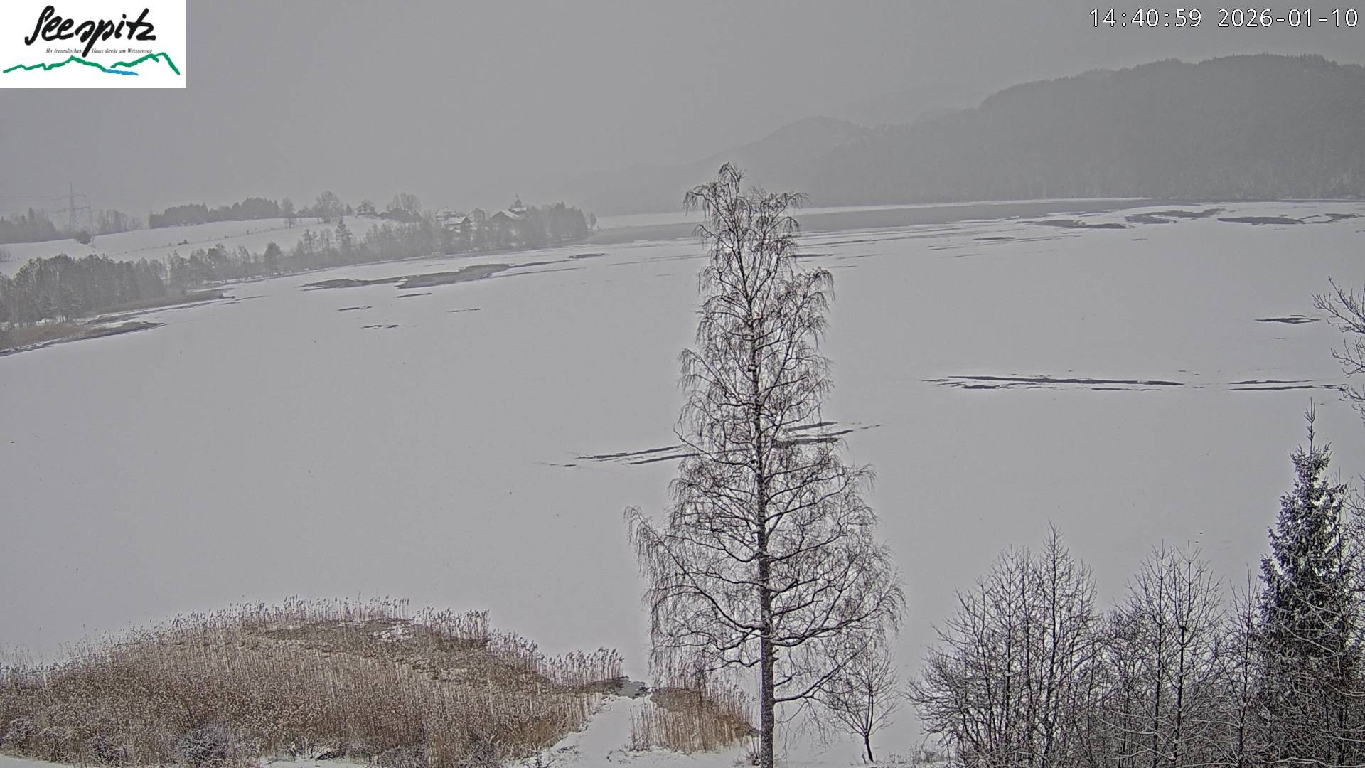 Archived image Webcam Weissensee near Füssen