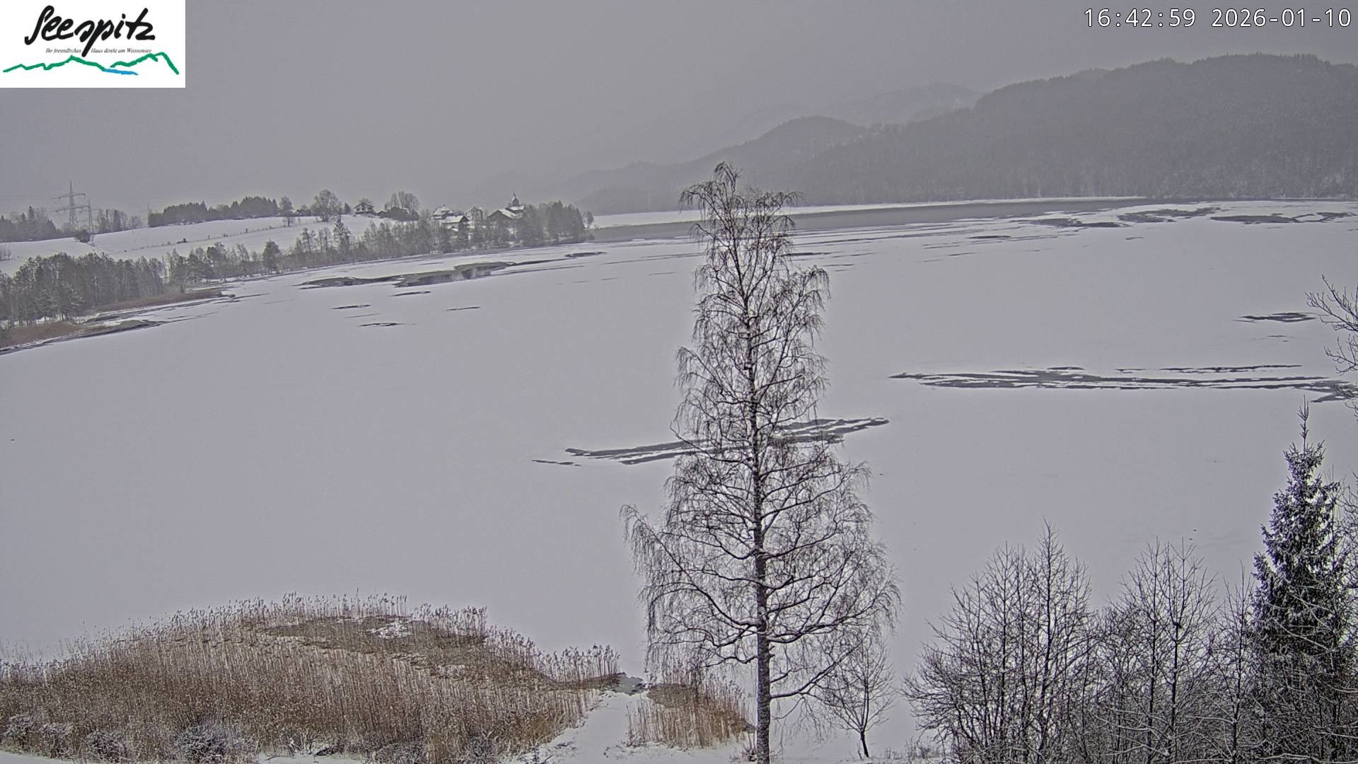 Archived image Webcam Weissensee near Füssen