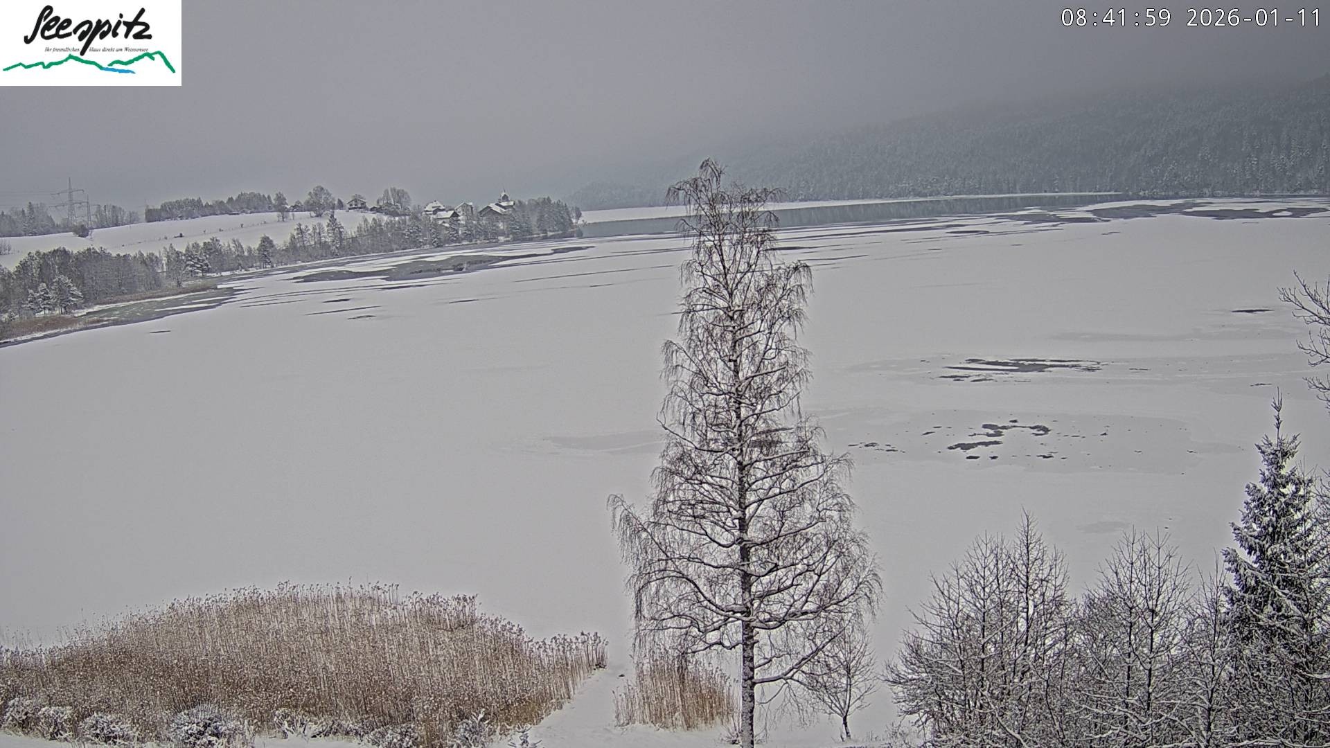 Archiv Foto Webcam Füssen: Blick auf den Weißensee vom Hotel Seespitz