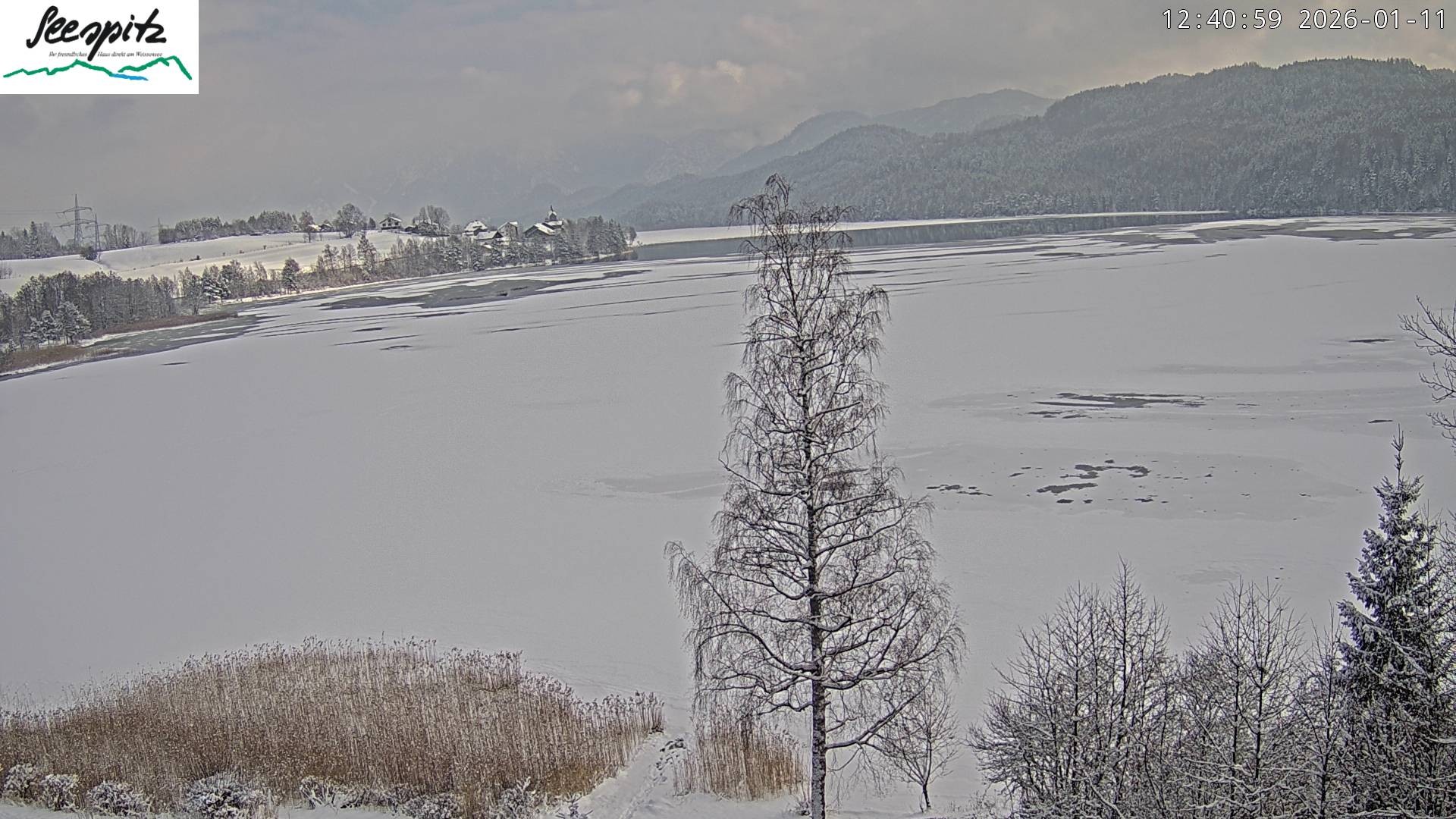 Archiv Foto Webcam Füssen: Blick auf den Weißensee vom Hotel Seespitz