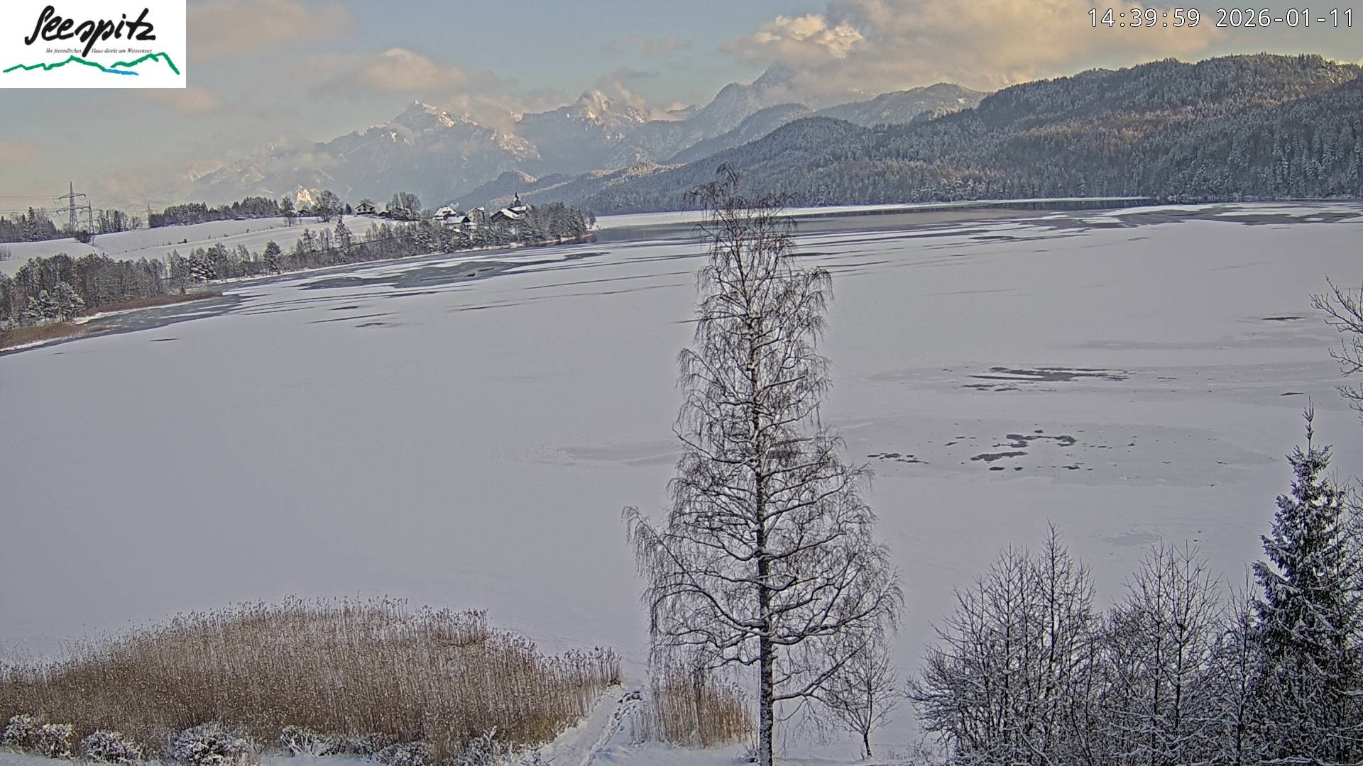 Archiv Foto Webcam Füssen: Blick auf den Weißensee vom Hotel Seespitz