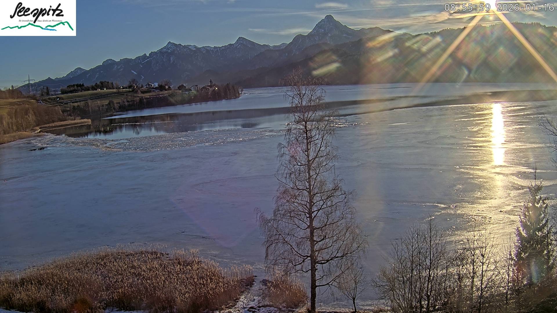Archiv Foto Webcam Füssen: Blick auf den Weißensee vom Hotel Seespitz