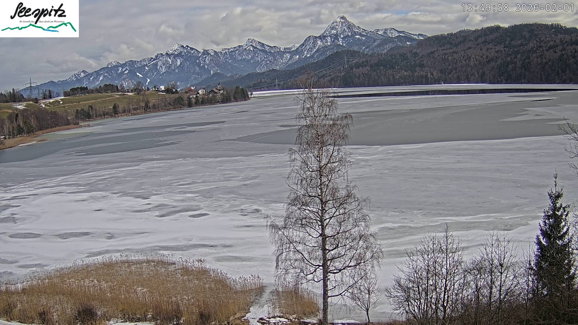 Archived image Webcam Weissensee near Füssen