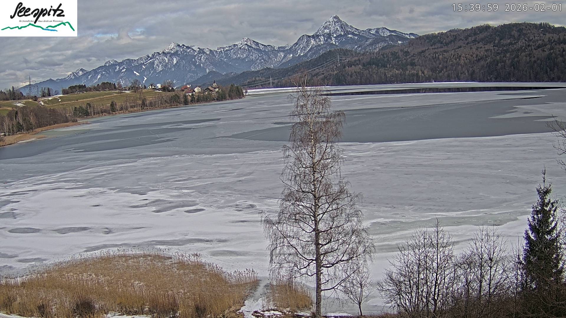 Archived image Webcam Weissensee near Füssen