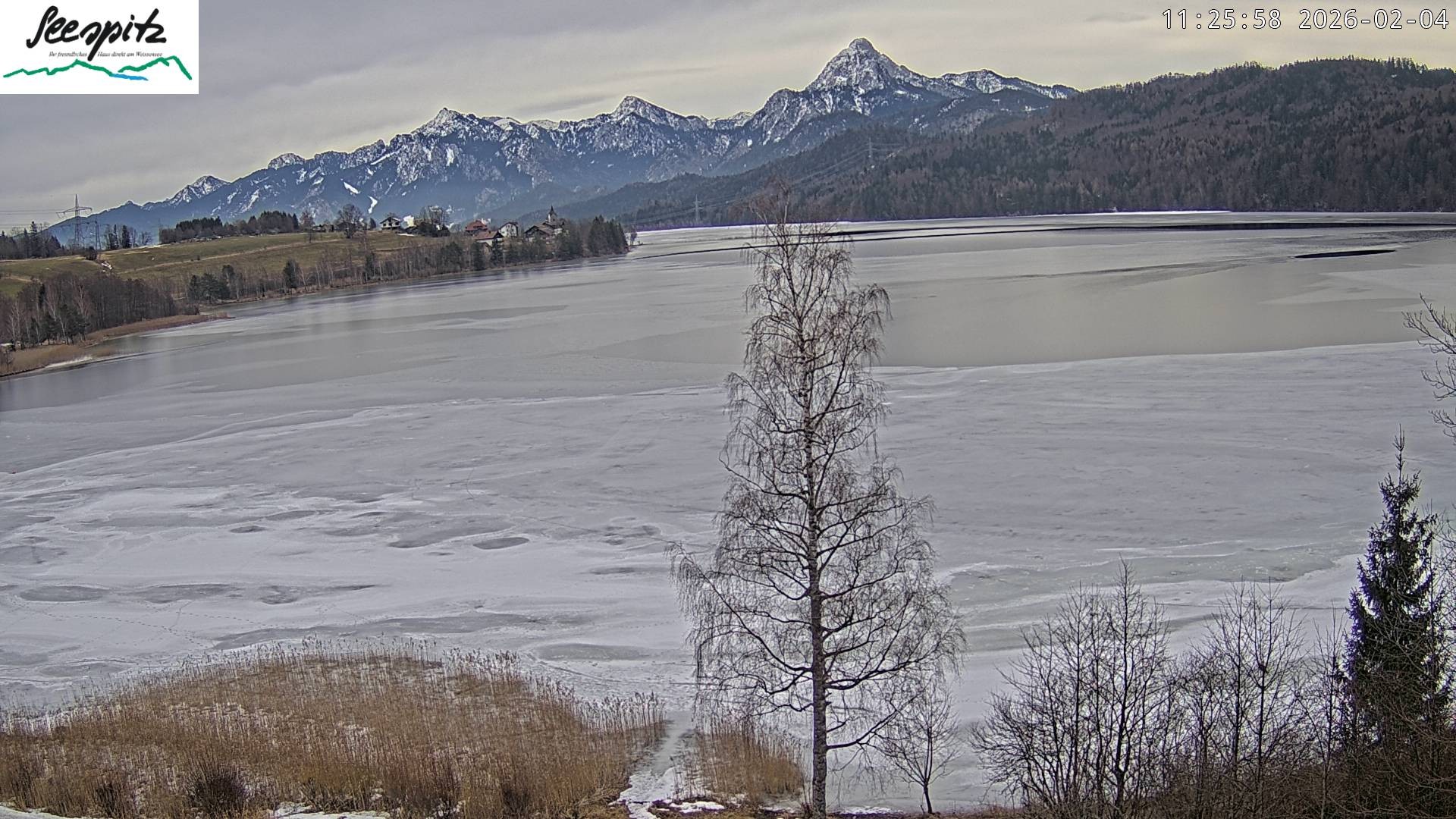 Archiv Foto Webcam Füssen: Blick auf den Weißensee vom Hotel Seespitz