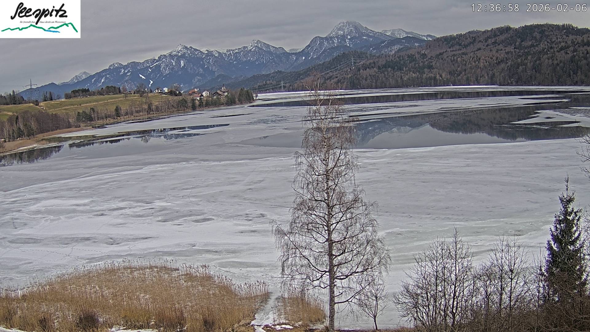 Archiv Foto Webcam Füssen: Blick auf den Weißensee vom Hotel Seespitz