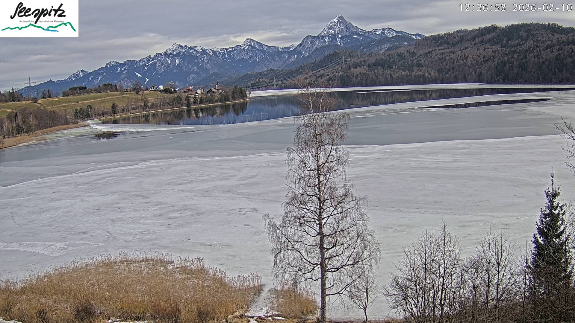 Archiv Foto Webcam Füssen: Blick auf den Weißensee vom Hotel Seespitz