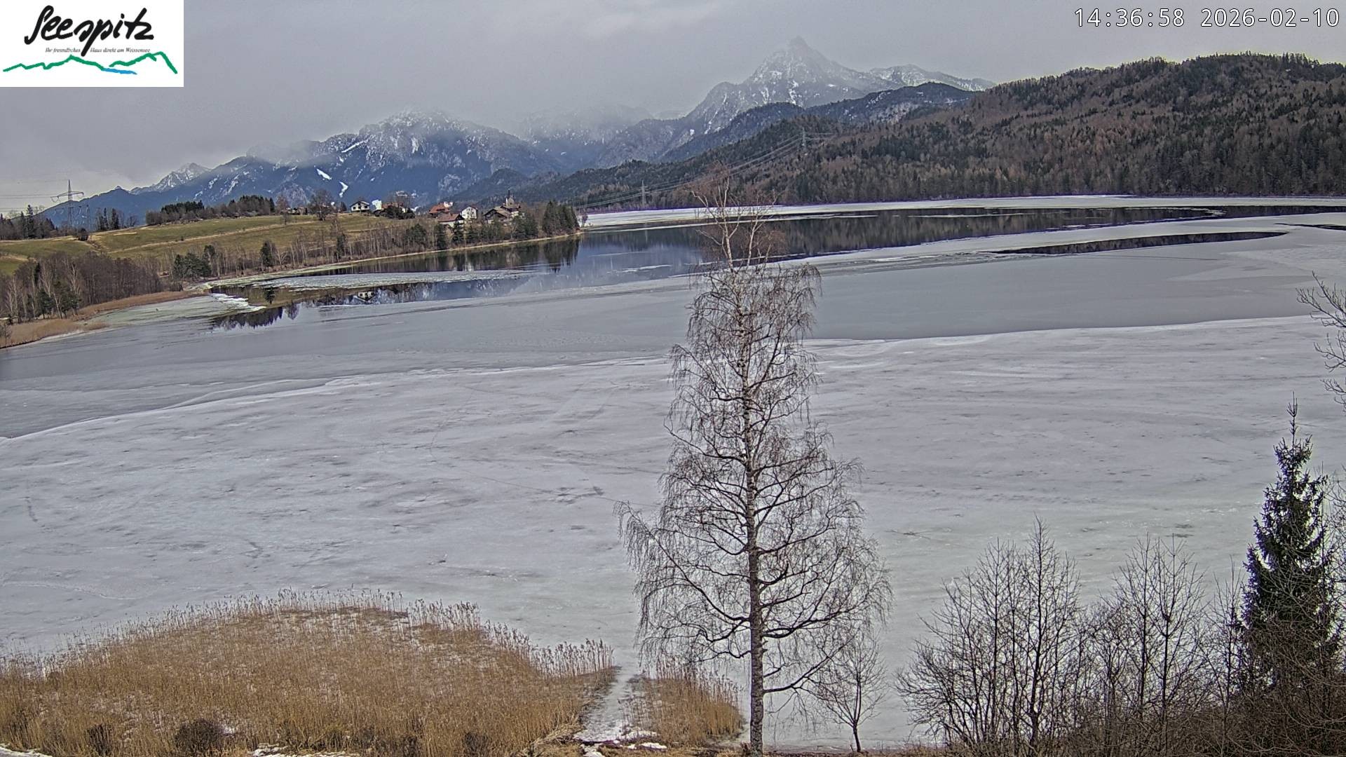 Archiv Foto Webcam Füssen: Blick auf den Weißensee vom Hotel Seespitz