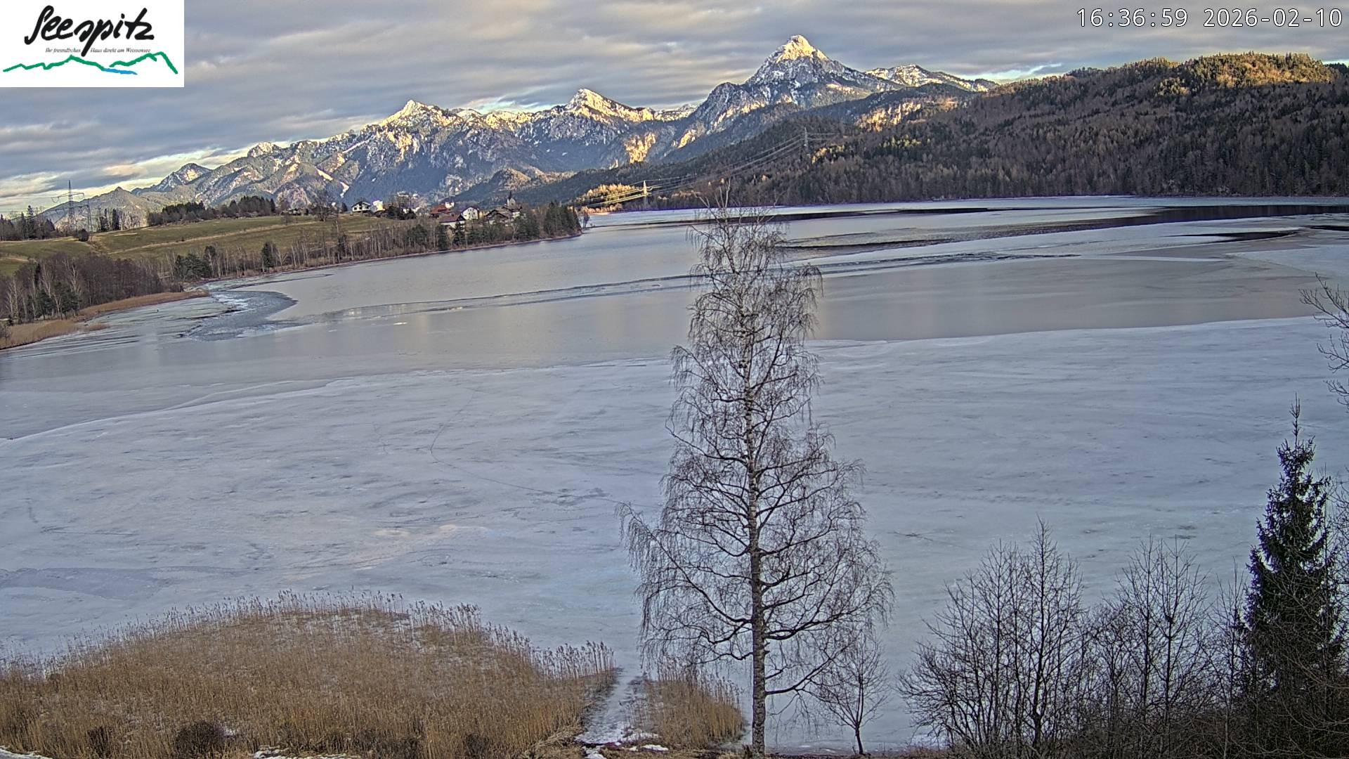 Archiv Foto Webcam Füssen: Blick auf den Weißensee vom Hotel Seespitz