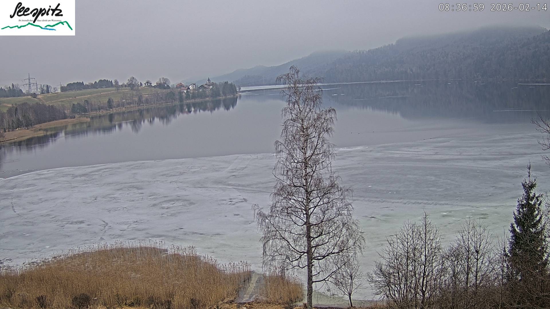 Archiv Foto Webcam Füssen: Blick auf den Weißensee vom Hotel Seespitz