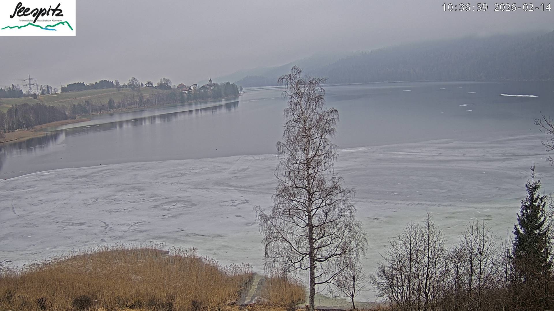 Archiv Foto Webcam Füssen: Blick auf den Weißensee vom Hotel Seespitz