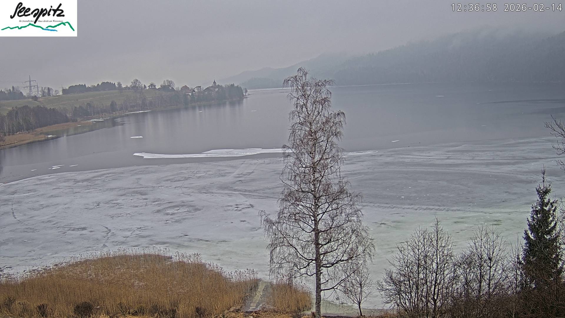 Archiv Foto Webcam Füssen: Blick auf den Weißensee vom Hotel Seespitz