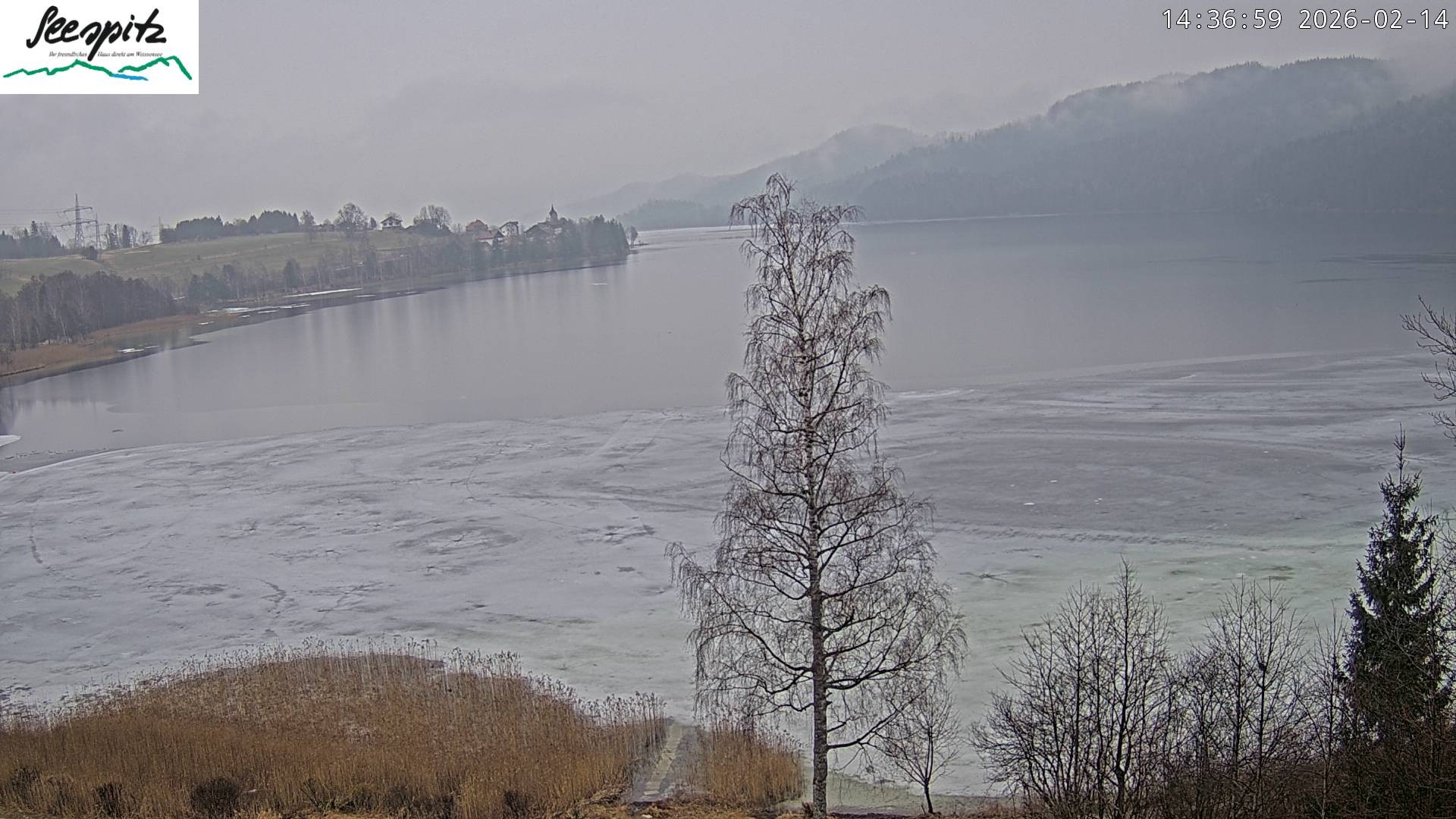 Archiv Foto Webcam Füssen: Blick auf den Weißensee vom Hotel Seespitz