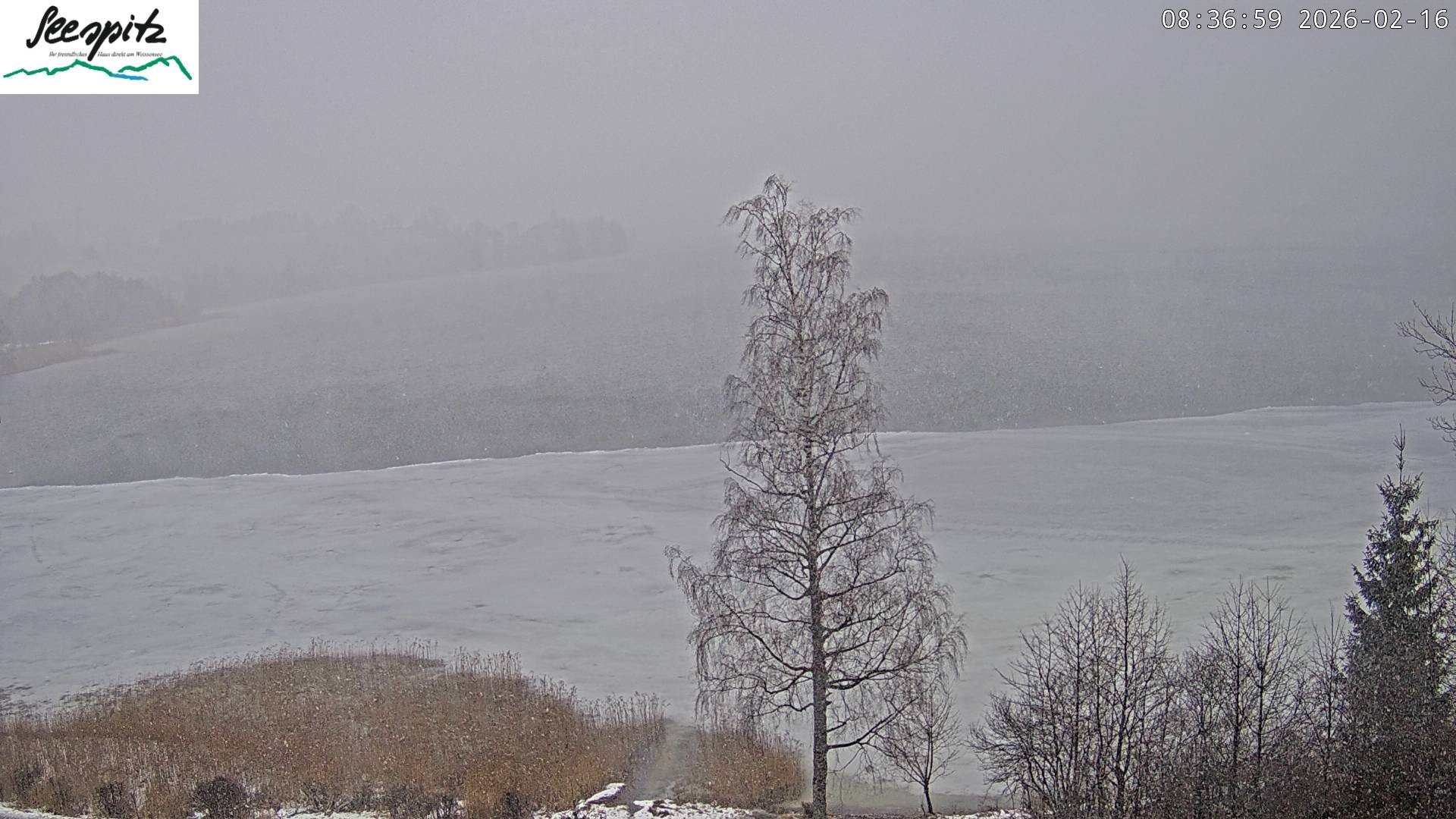 Archiv Foto Webcam Füssen: Blick auf den Weißensee vom Hotel Seespitz