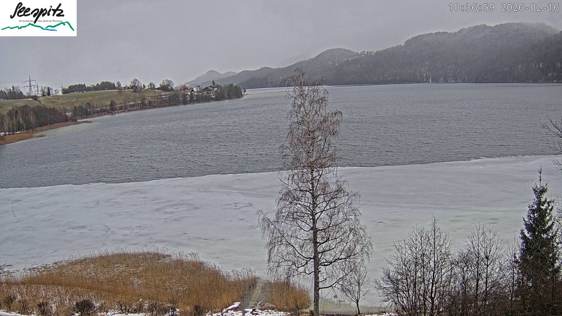 Archiv Foto Webcam Füssen: Blick auf den Weißensee vom Hotel Seespitz