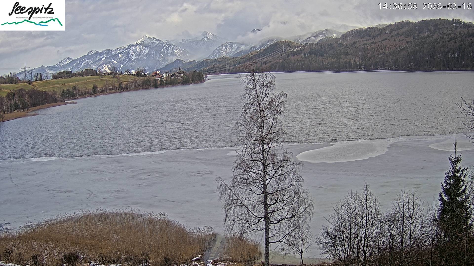 Archiv Foto Webcam Füssen: Blick auf den Weißensee vom Hotel Seespitz
