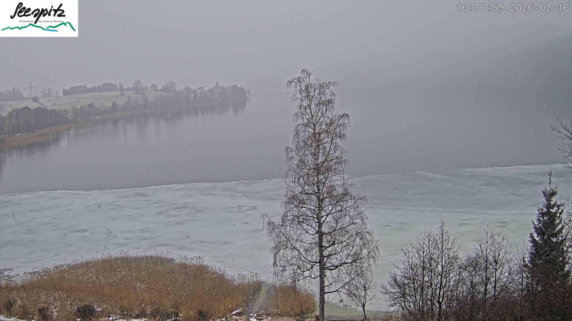 Archiv Foto Webcam Füssen: Blick auf den Weißensee vom Hotel Seespitz
