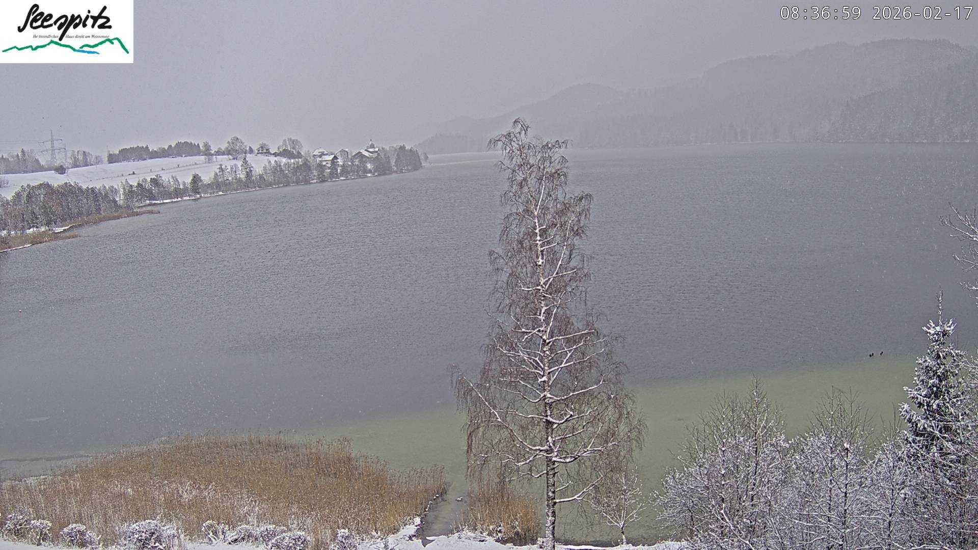Archiv Foto Webcam Füssen: Blick auf den Weißensee vom Hotel Seespitz