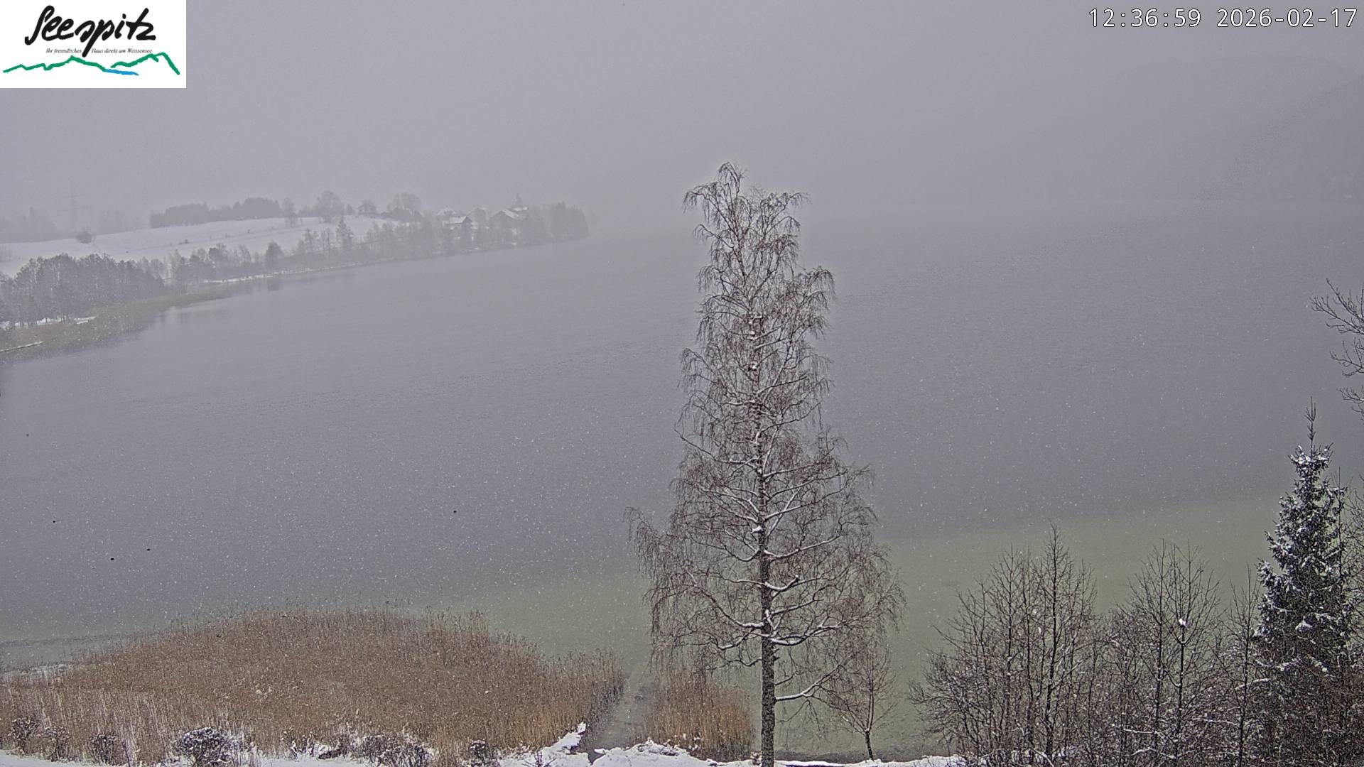 Archiv Foto Webcam Füssen: Blick auf den Weißensee vom Hotel Seespitz
