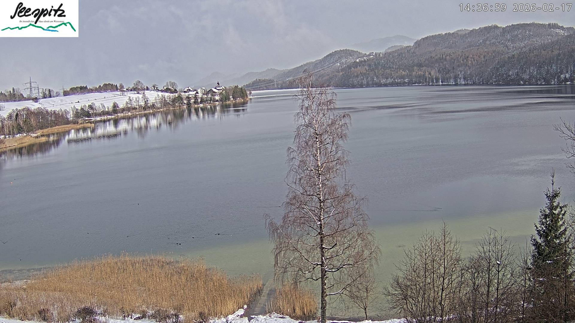 Archiv Foto Webcam Füssen: Blick auf den Weißensee vom Hotel Seespitz