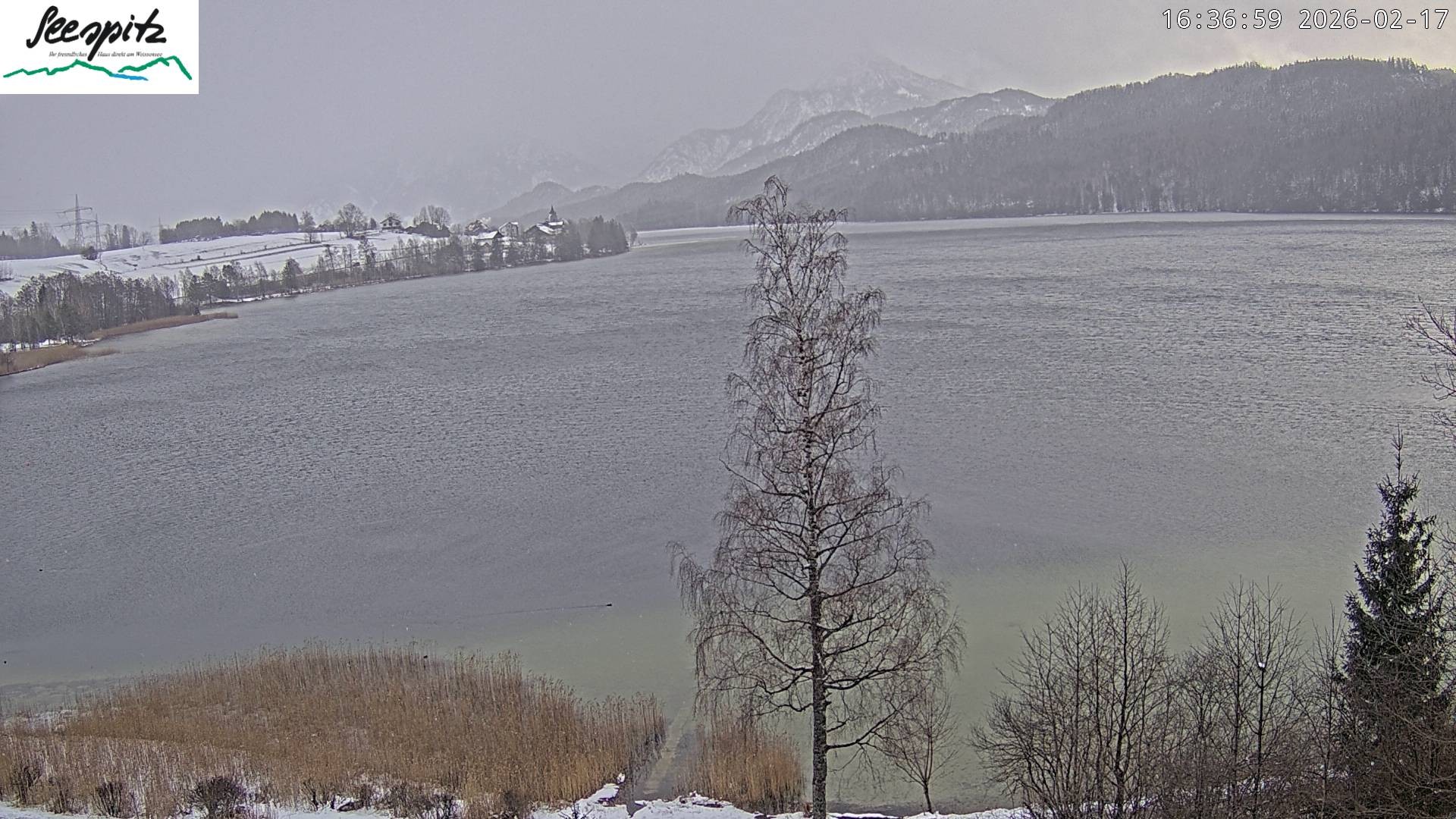 Archiv Foto Webcam Füssen: Blick auf den Weißensee vom Hotel Seespitz