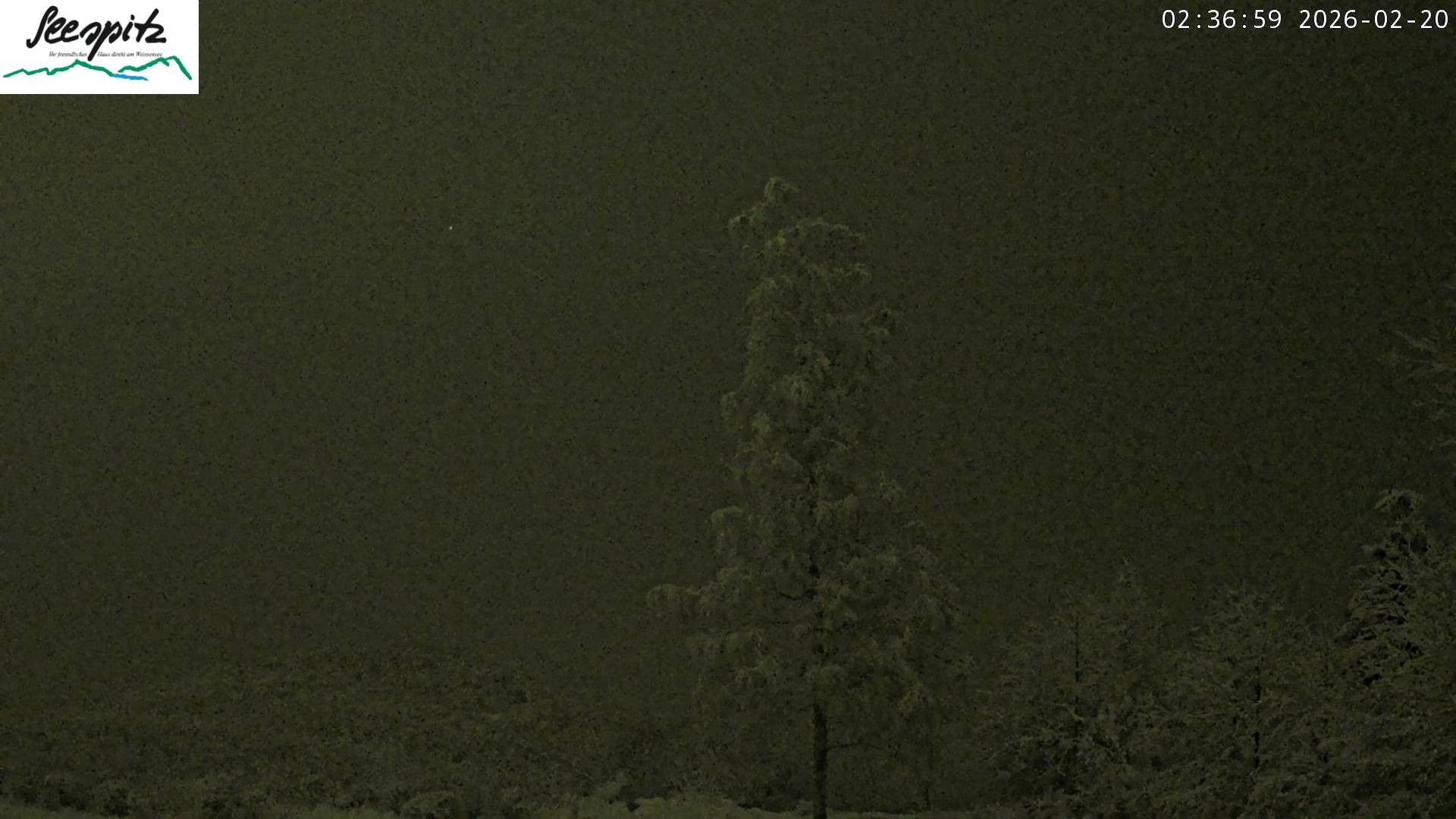 Archived image Webcam Weissensee near Füssen