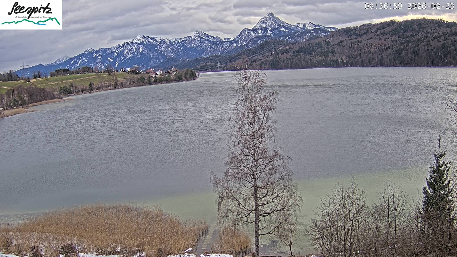Archiv Foto Webcam Füssen: Blick auf den Weißensee vom Hotel Seespitz