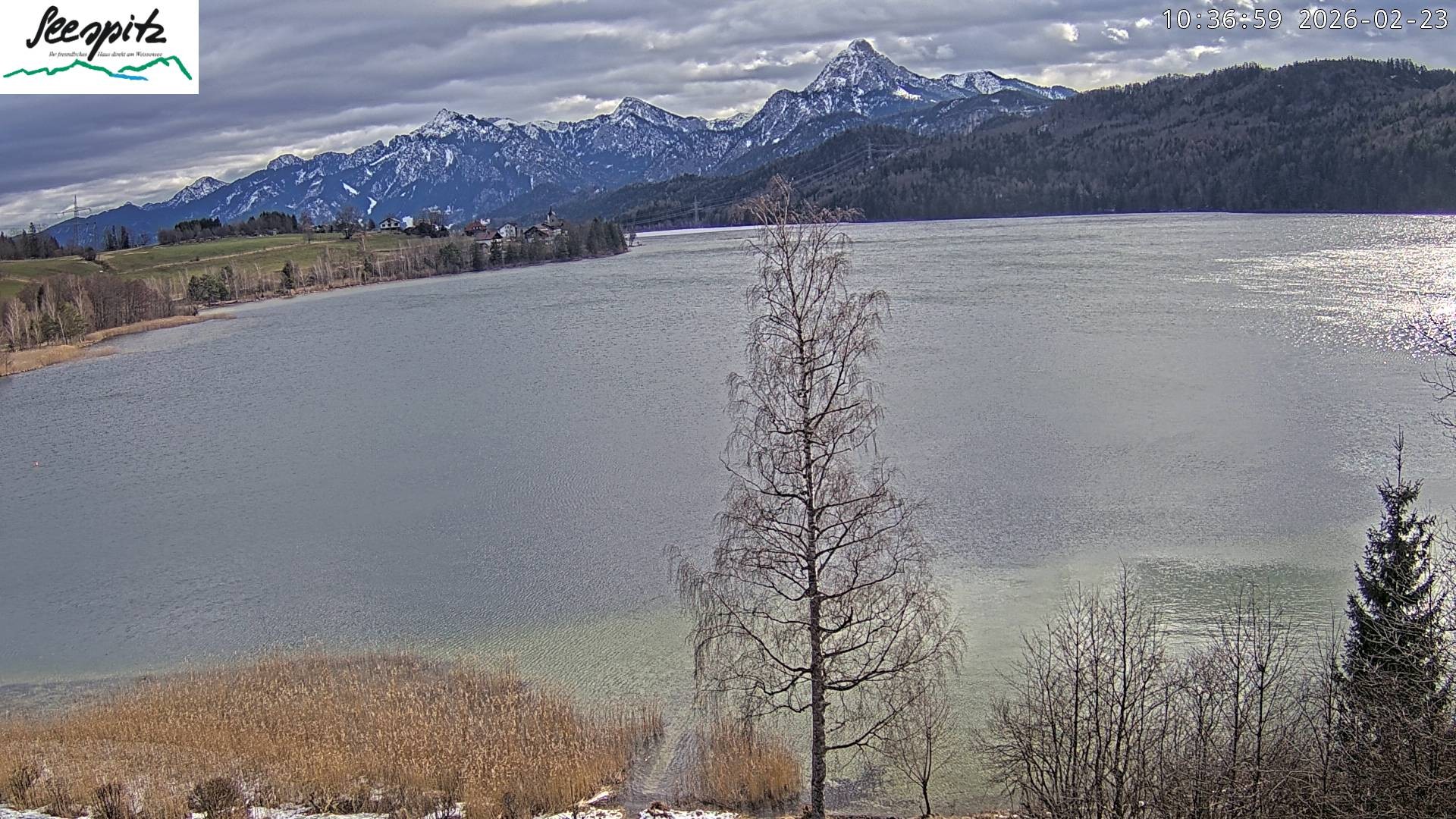 Archiv Foto Webcam Füssen: Blick auf den Weißensee vom Hotel Seespitz