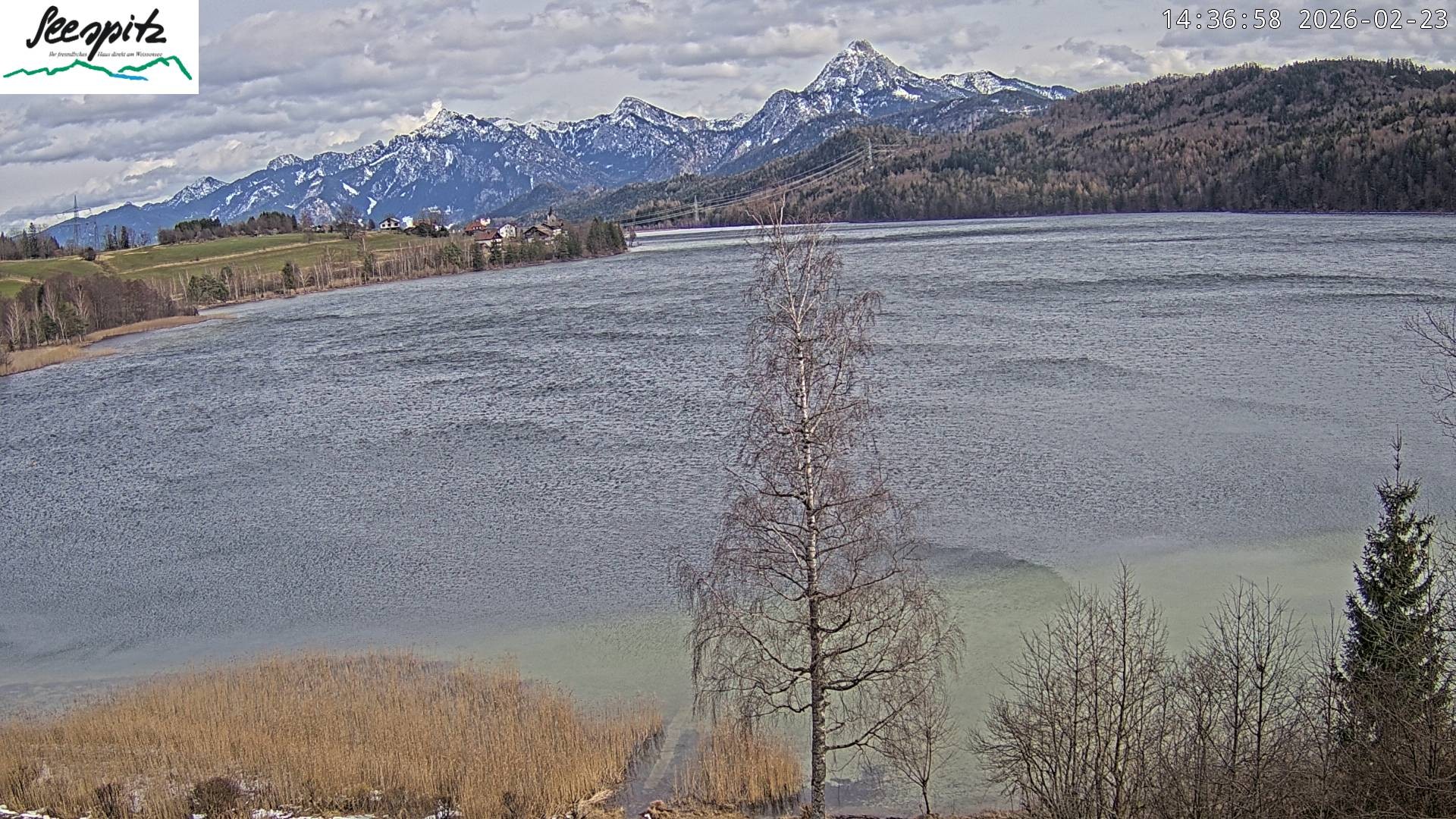 Archiv Foto Webcam Füssen: Blick auf den Weißensee vom Hotel Seespitz