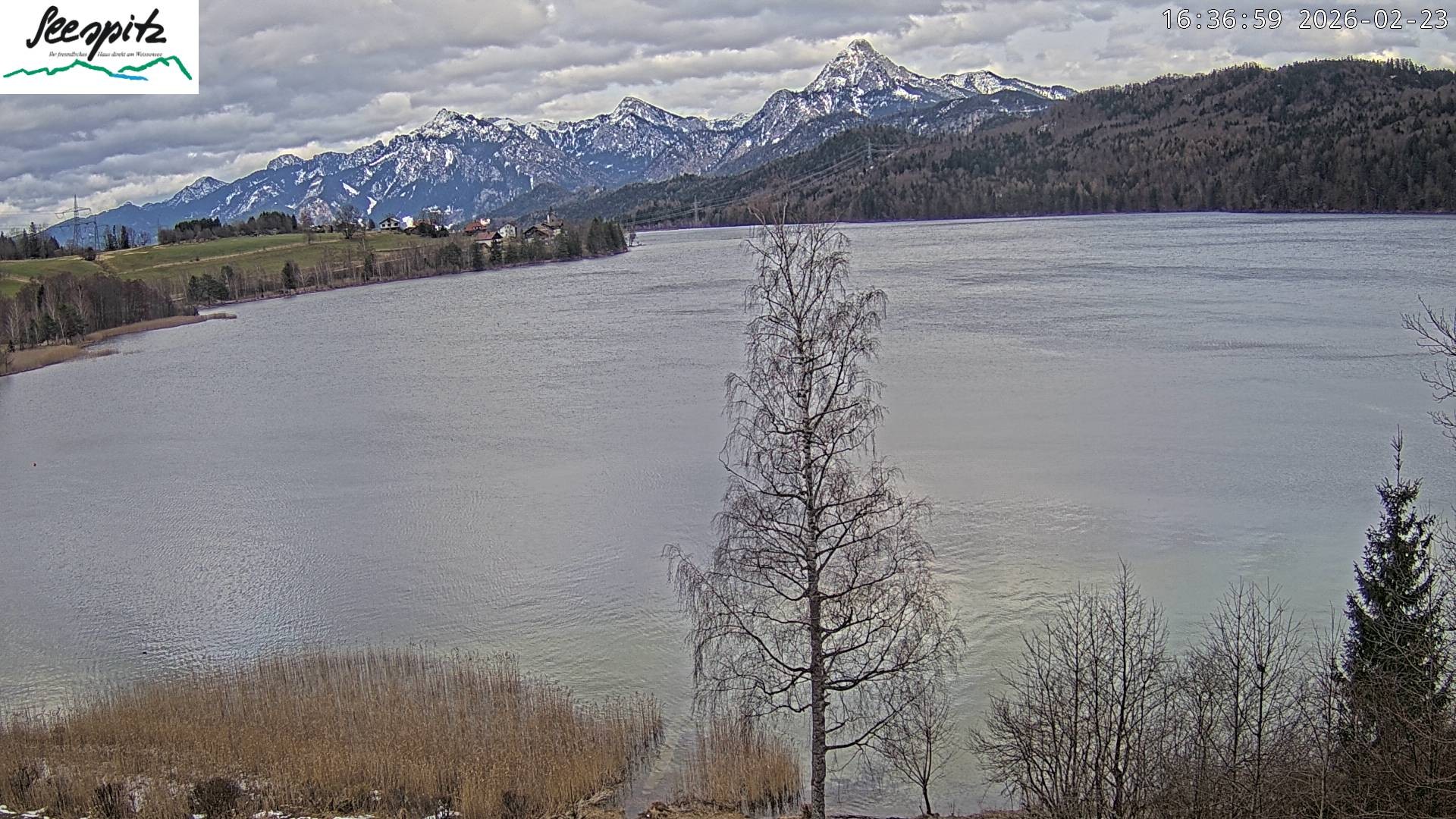 Archiv Foto Webcam Füssen: Blick auf den Weißensee vom Hotel Seespitz
