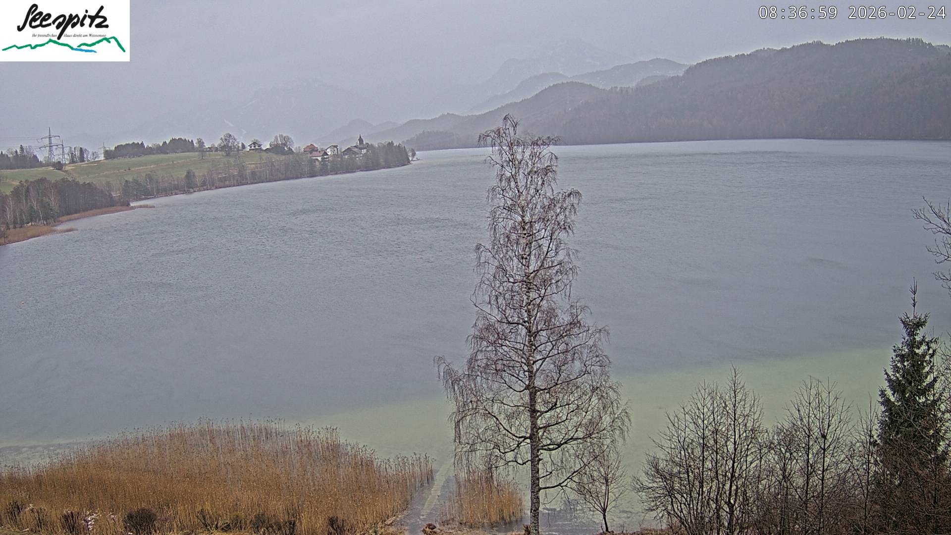 Archiv Foto Webcam Füssen: Blick auf den Weißensee vom Hotel Seespitz