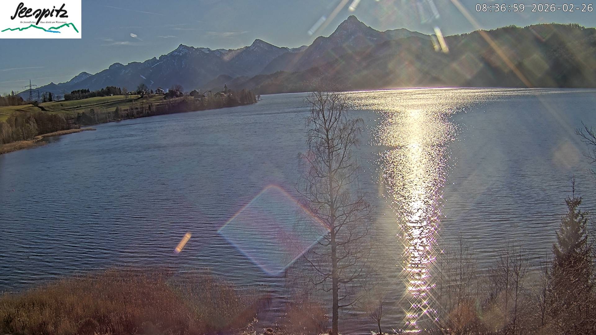 Archived image Webcam Weissensee near Füssen