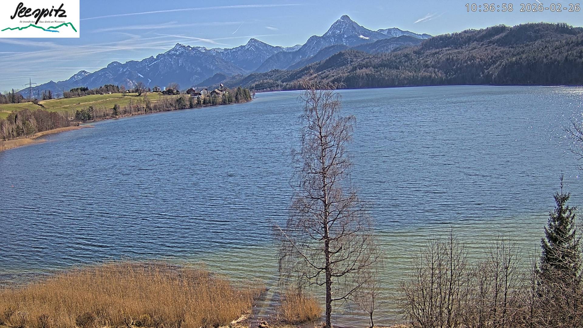 Archived image Webcam Weissensee near Füssen