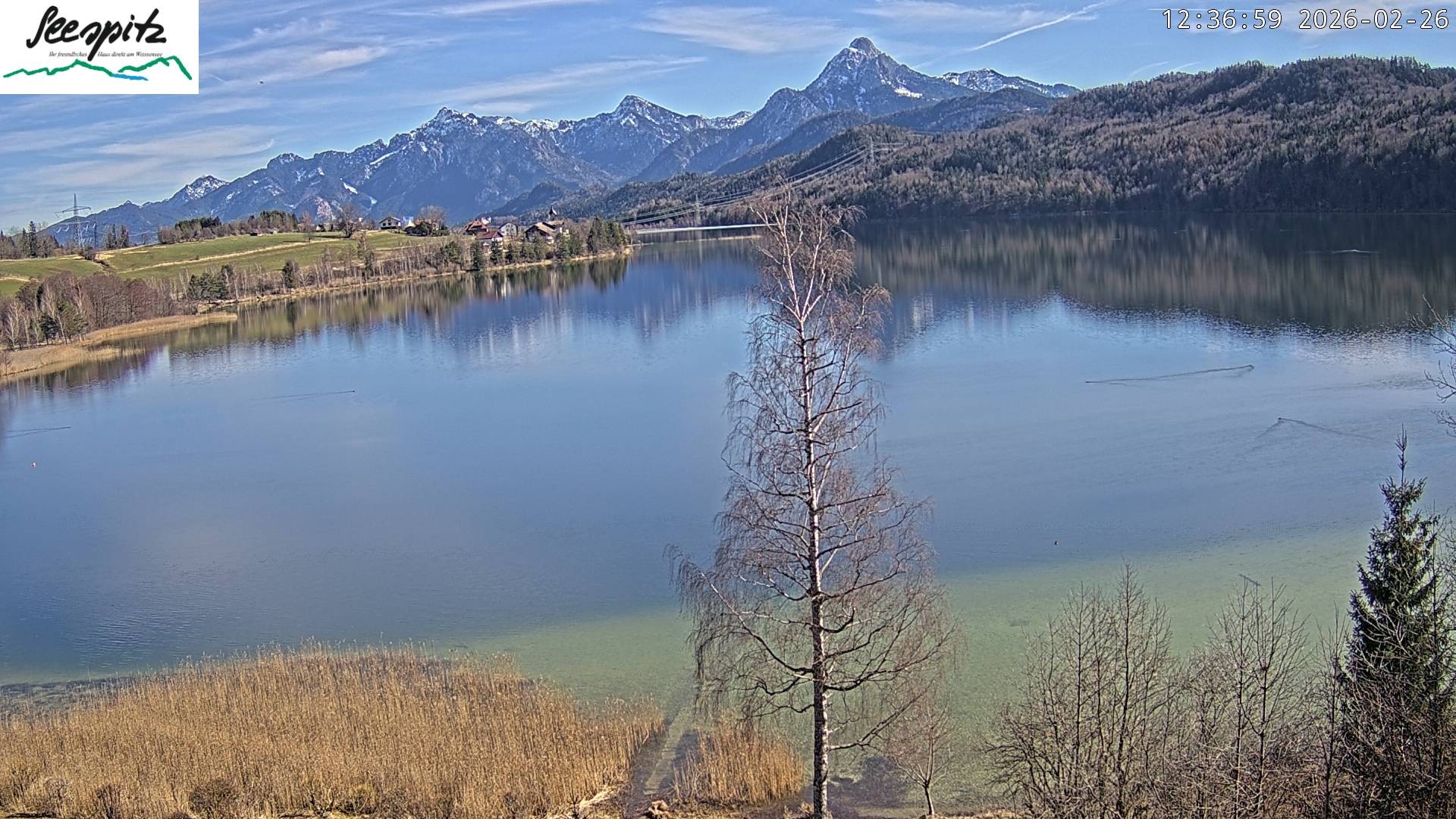 Archived image Webcam Weissensee near Füssen