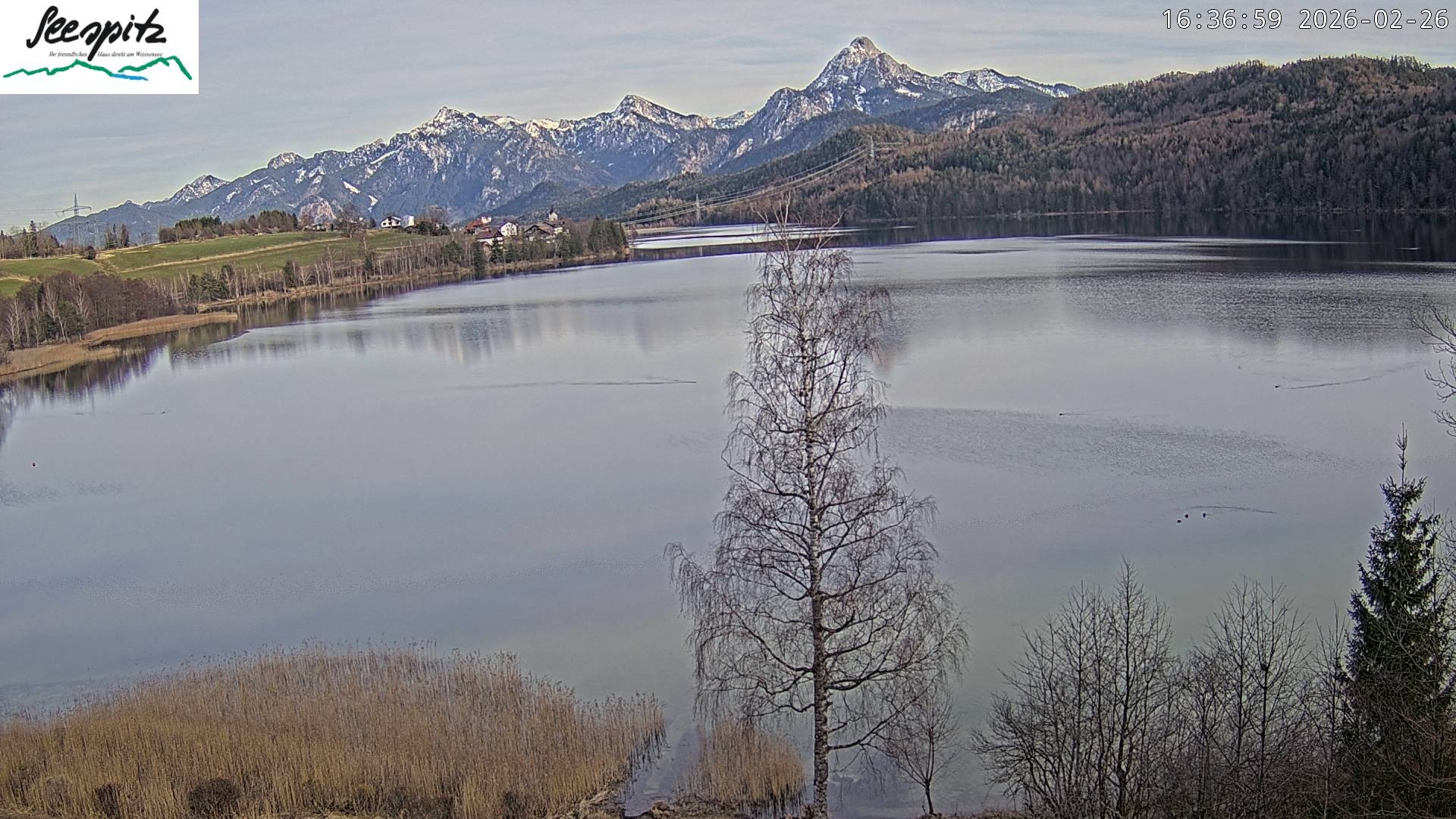 Archiv Foto Webcam Füssen: Blick auf den Weißensee vom Hotel Seespitz