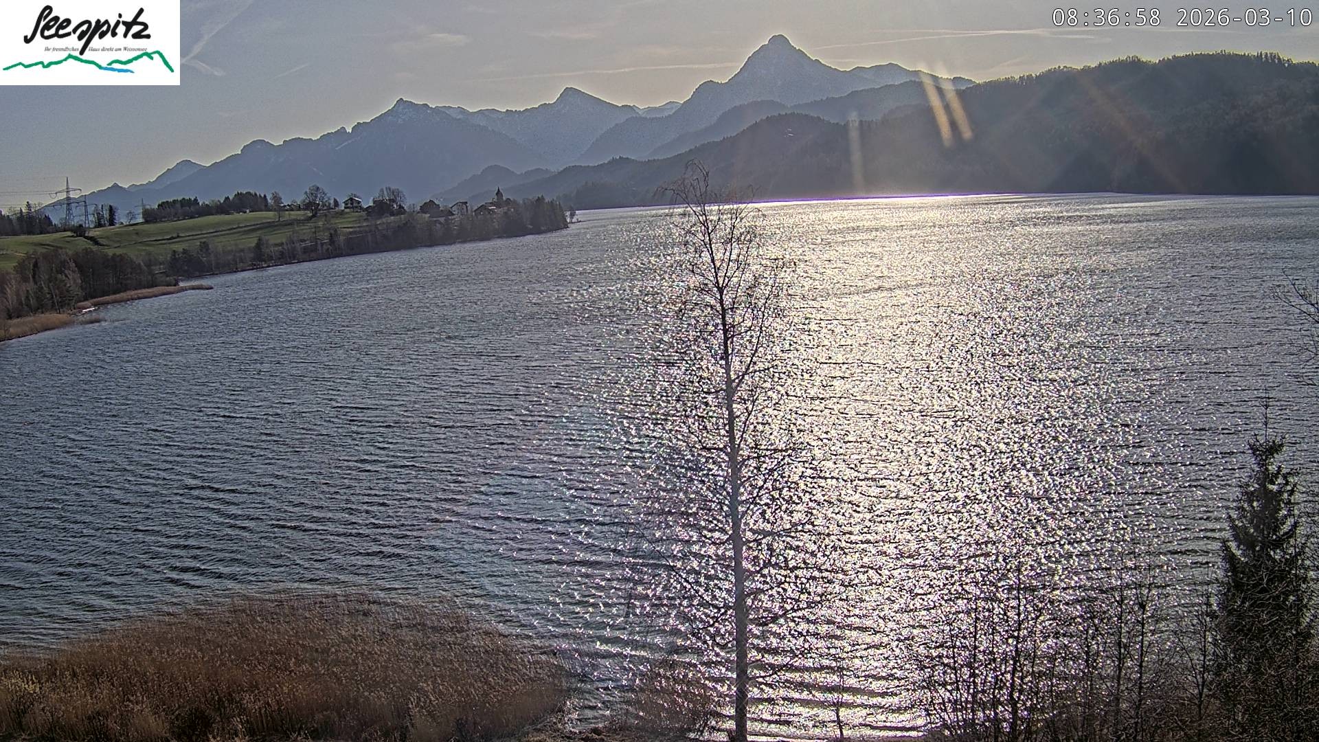 Archiv Foto Webcam Füssen: Blick auf den Weißensee vom Hotel Seespitz