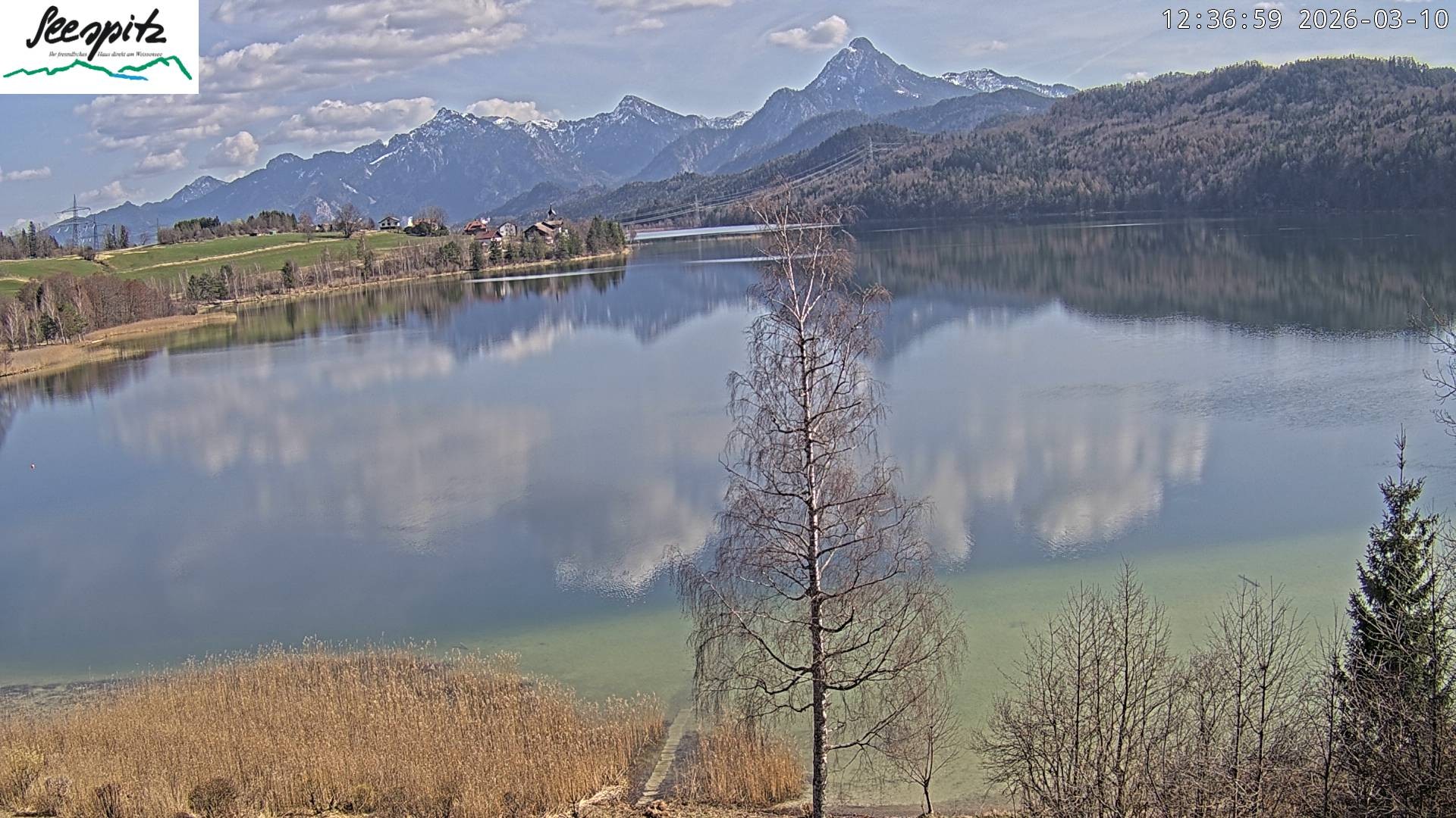 Archiv Foto Webcam Füssen: Blick auf den Weißensee vom Hotel Seespitz