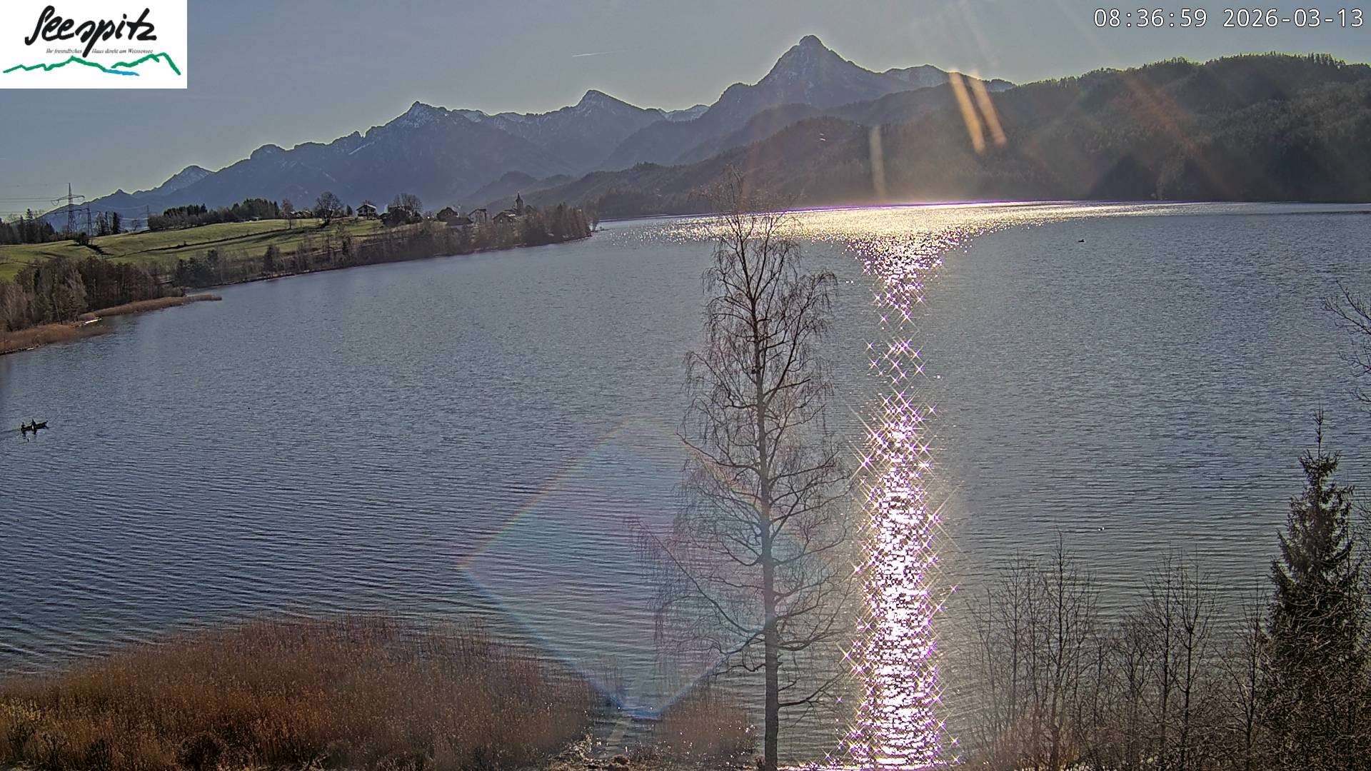 Archived image Webcam Weissensee near Füssen